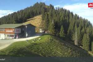 Talkaser (LIVE Stream)