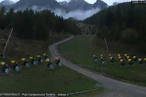 Campo Scuola Scoiattolo