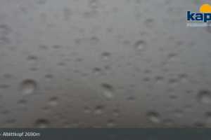 Alblittkopf (LIVE Stream)