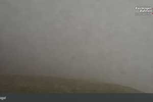 Kamera Rastkogel Zillertal Rastkogel (LIVE Stream)