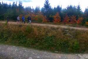 Kamera Szczyrk Szczyrk Mountain Resort SZCZYRK MOUNTAIN RESORT - Zbójnicka Kopa