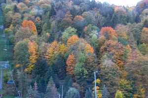 Kamera Szczawnica Palenica Szczawnica Palenica