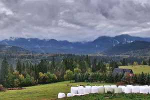 Tatry na zywo