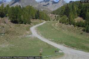 Kamera Val di Sole Pejo Campo Scuola Scoiattolo
