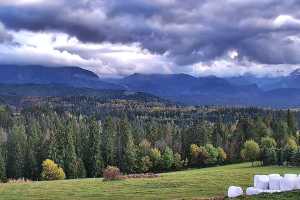 Tatry na zywo