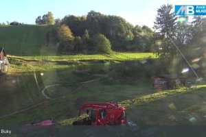 Kamera Mladé Buky  Mladé Buky (LIVE Stream)