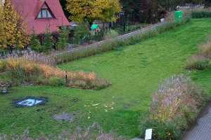 Kamera Szczawnica Palenica Szczawnica Palenica