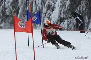 fot. skionline.pl fot. skionline.pl