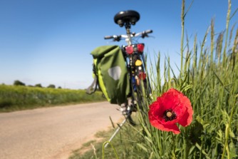 Sakwy rowerowe - jak je dobrze dopasować? Poradnik zakupowy