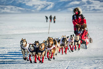 www.infoski.pl www.infoski.pl