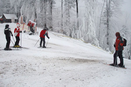 Szczyrk - kamienie na trasie fot. skionline.pl Szczyrk - kamienie na trasie fot. skionline.pl