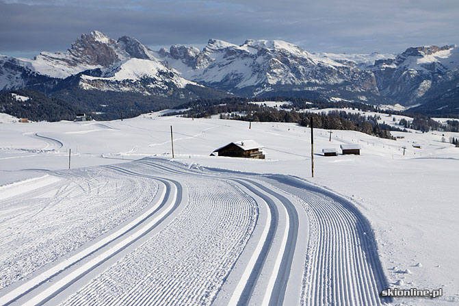 Alpe di Siusi fot. skionline.pl Alpe di Siusi fot. skionline.pl