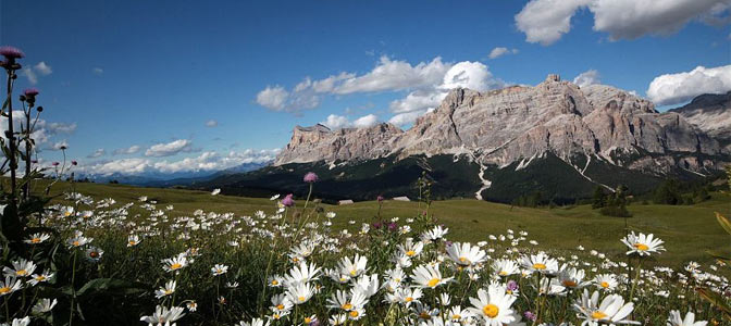 Alta Badia Alta Badia