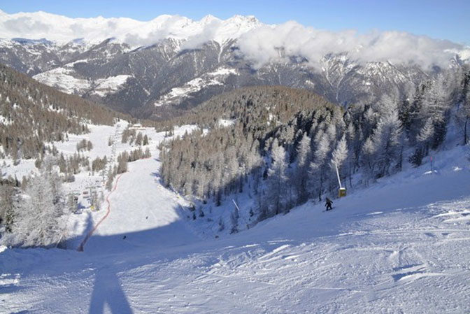 Little Grizzly, Val di Sole Little Grizzly, Val di Sole