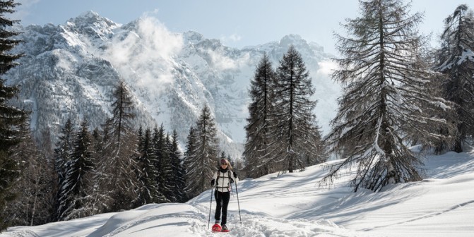 Rakietach śnieżne - Trentino