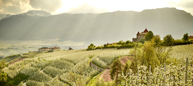 Trentino - podróż do kwitnących widowiskowo Alp