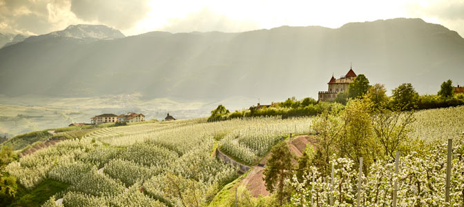 Trentino - podróż do kwitnących widowiskowo Alp Trentino - podróż do kwitnących widowiskowo Alp