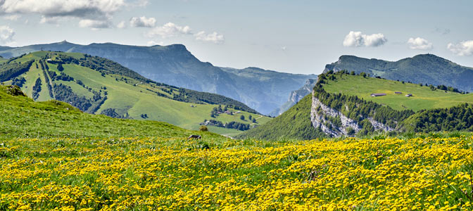 Trentino - podróż do kwitnących widowiskowo Alp