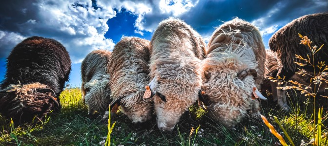 Chodź z nami w góry - dzień z ratownikami GOPR w Szczyrk Mountain Resort i 50% zniżki na bilety turystyczne Chodź z nami w góry - dzień z ratownikami GOPR w Szczyrk Mountain Resort i 50% zniżki na bilety turystyczne