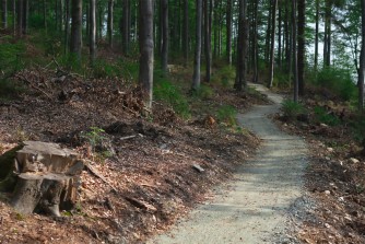 Zieleniec otwiera trasy rowerowe Singletrack Glacensis