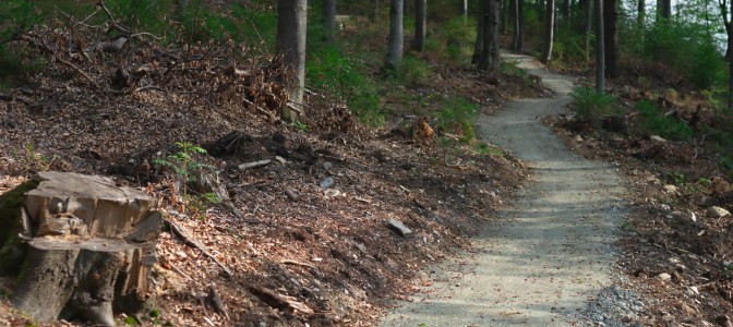 Zieleniec otwiera trasy rowerowe Singletrack Glacensis