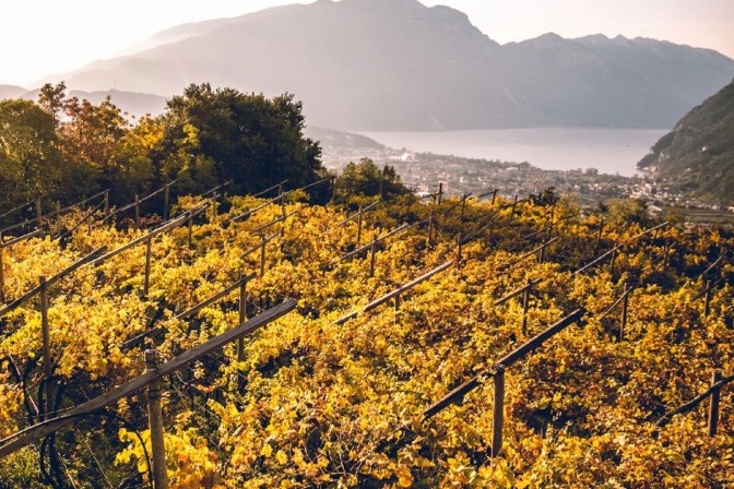 Jesienne festiwale gastronomiczne w Trentino