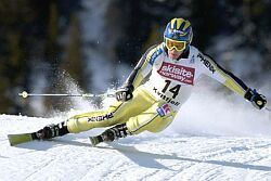 Kjetil Andre Aamodt